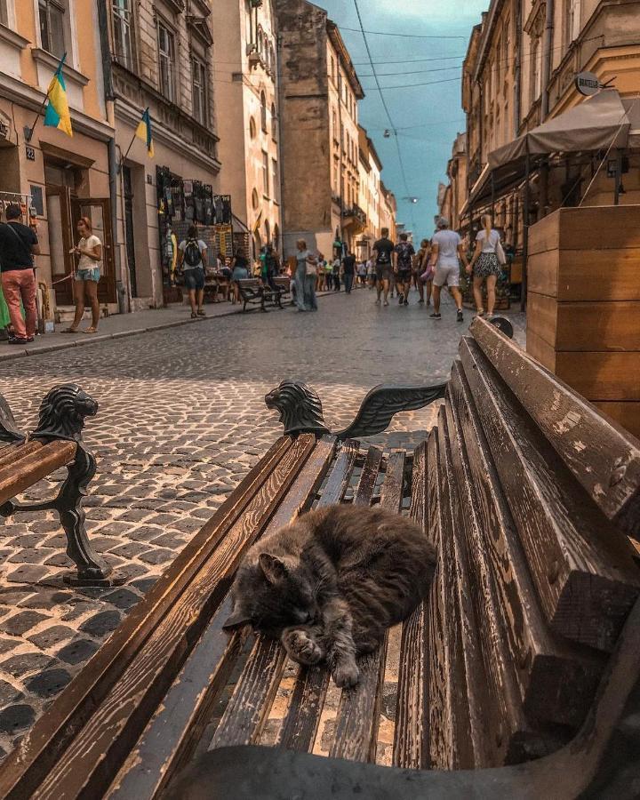 Cozy & New Furnished Flat In Old Town Of Lviv Daire Dış mekan fotoğraf